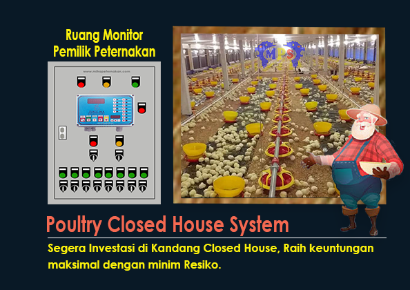Kandang ayam closed house dengan sistem ventilasi modern